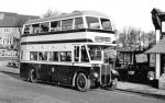 AEC Regent III Park Royal 1947 года